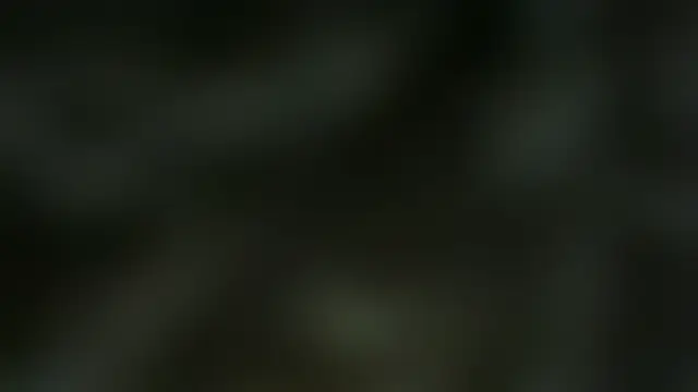 Chichoplus1's Webcam Show