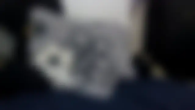 yesica2507's Live XXX Chat