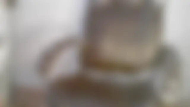 collage_hoty Live XXX-Chat