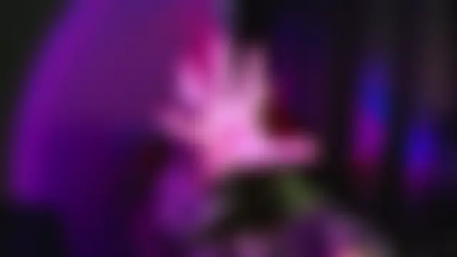 Celia_Sensual_ Obrolan Langsung XXX