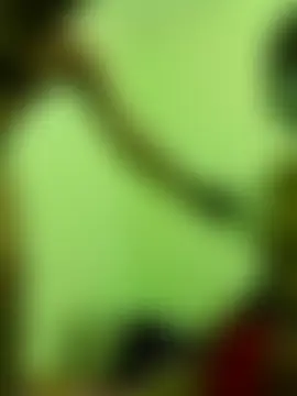 Komal_Bhabhi4u's Webcam Show