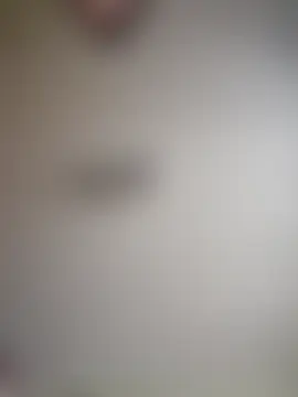 wildlia's Live Chat Room