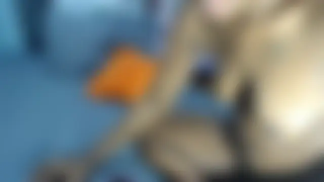 غرفة دردشة BootySoYummyX المباشرة