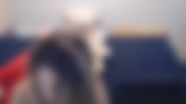 night_is_dark's Live XXX Chat