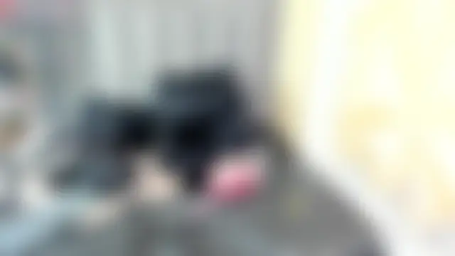 MiaGinger_ – live chatrum