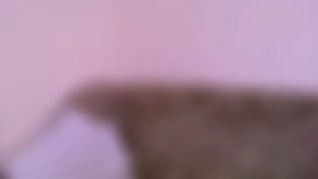 Norma_Wall's Live XXX Chat