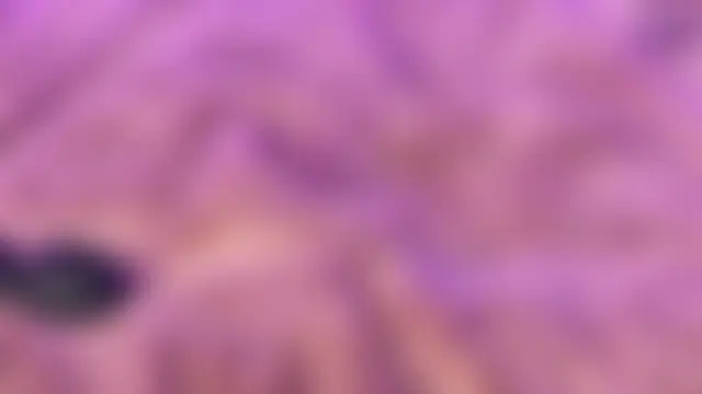 andrea_miller1 Cameră chat live