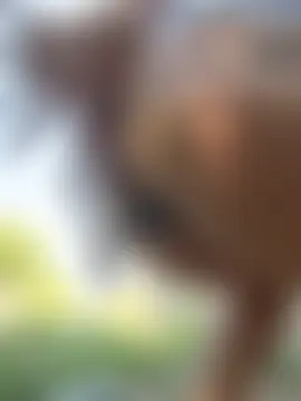 Онлайн чат AdinaKan