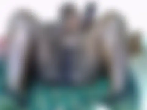 دردشة DarkEmpress_ الجنسية المباشرة
