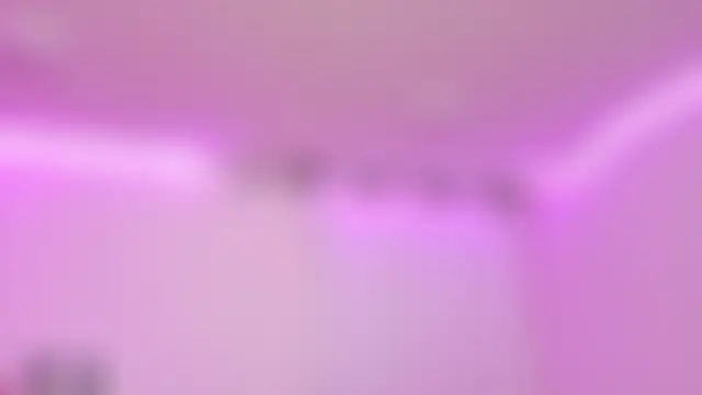 חדר צ'אט בשידור חי של Sachi_Meow