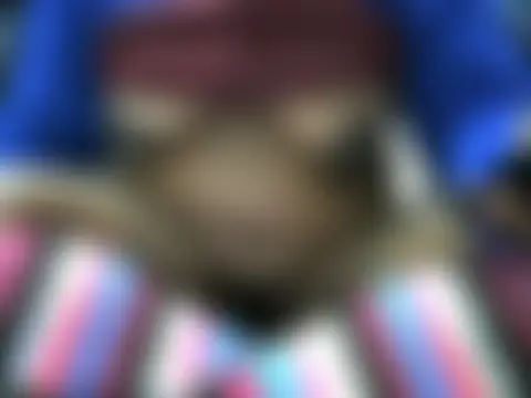 ebonyzoey's Live Webcam Chat