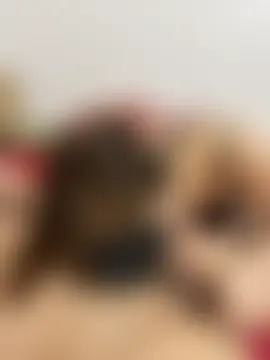 vietAnhzip Live Sex Cam Show