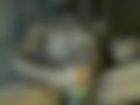 pigDany Webcam-Show