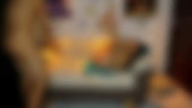 Sashawon_のライブセックスカメラショー
