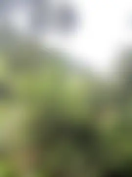 Chat +18 de Linda-babyy ao vivo