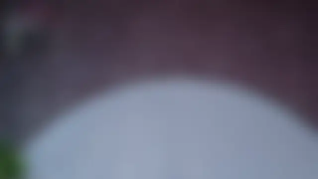 Czat XXX na żywo – Shanelsmith