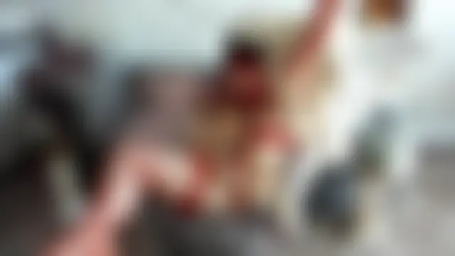 AngelWild007 라이브 XXX 채팅