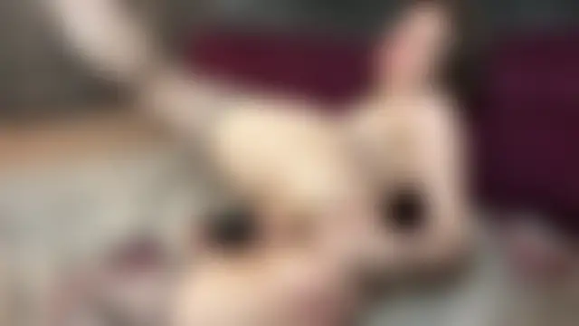 kellyvenous' Live Sex Cam Show