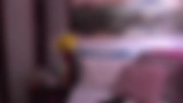 Aurora_Real 라이브 XXX 채팅