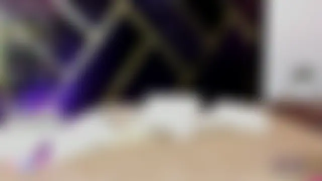 vixen-kitty offline chat-rom