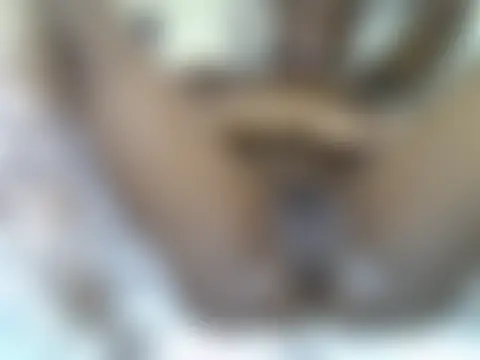 دردشة Lexy_mamii الجنسية المباشرة