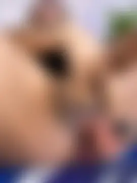 Czat XXX na żywo – AshleyVXo