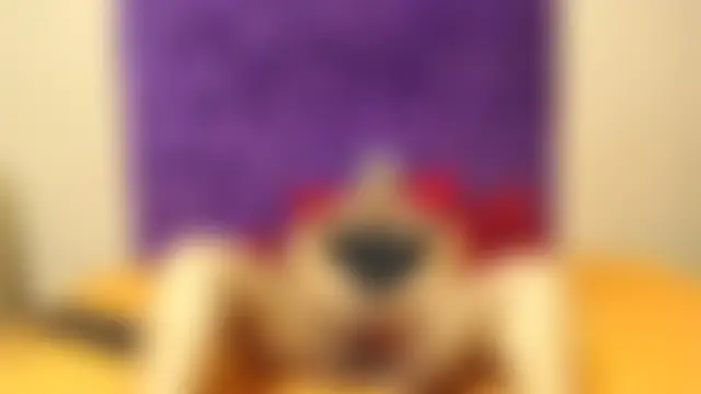Chat XXX en directo de EBONYBUSTYY