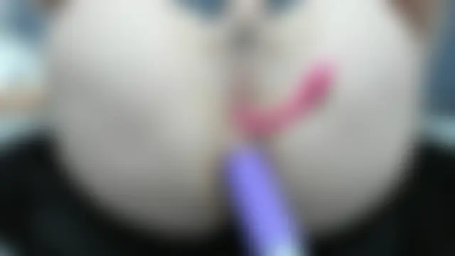 חדר צ'אט בשידור חי של BrendaWildd