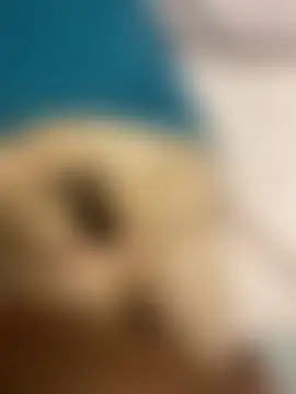 ZEROO7788 网络视讯表演