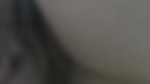 sophia_hadid – live chatrum