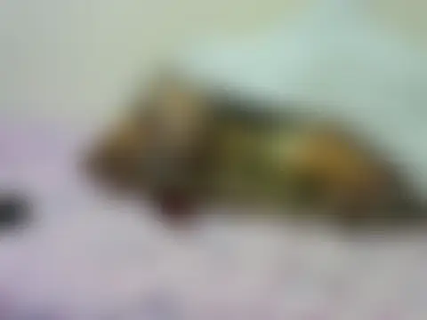 Lexieeluv লাইভ XXX চ্যাট
