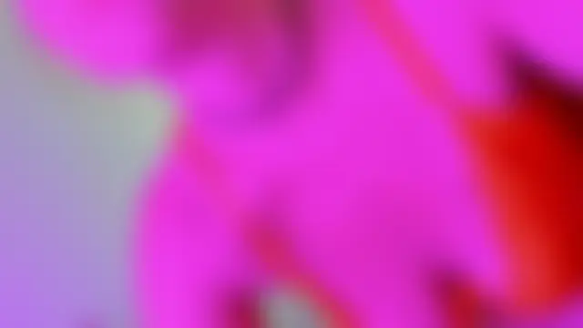 RosyFoxy élő chatszobája