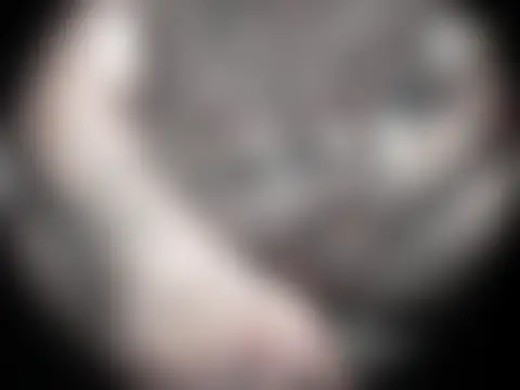 Онлайн чат XXX Twoslipperywhenwett