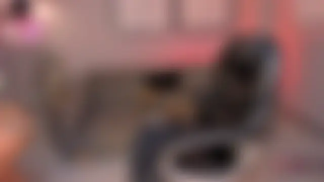 AshleyFerrer_ élő XXX-chatje