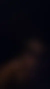ZeldaSneakyLink webcam show