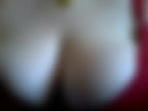 Czat XXX na żywo – Missy_DM