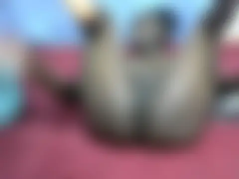 Phòng Chat Trực Tiếp princess_ebony3