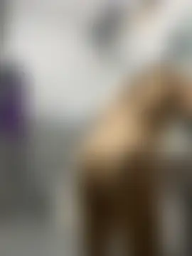 vietAnhzip Live Sex Cam Show