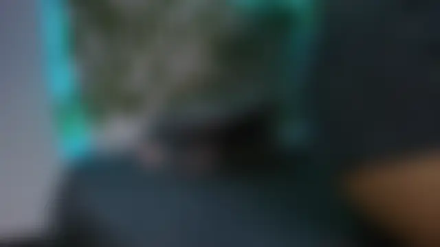 Mahia_wilson live XXX chat