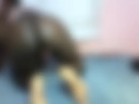 curvylilah 现场聊天室