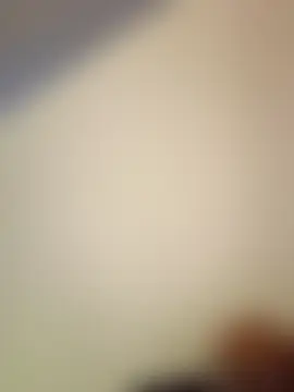 Milwokee Webcam Show