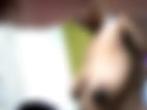 XXX chat uživo modela xxBoobieGal
