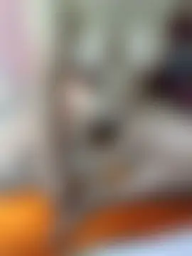 yang-aa Show Webcam