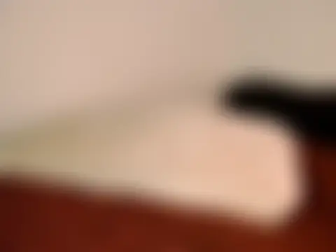 Chat +18 de megan_star01 ao vivo