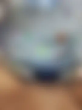 Show de Alevsiz na webcam