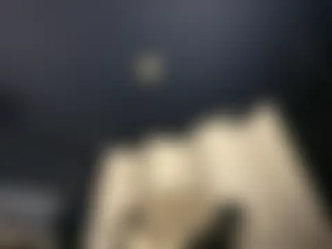 wynterheat 라이브 XXX 채팅