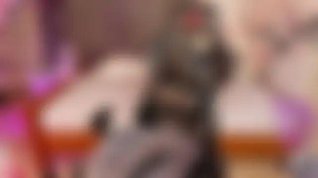 XXX chat uživo modela amelibamby