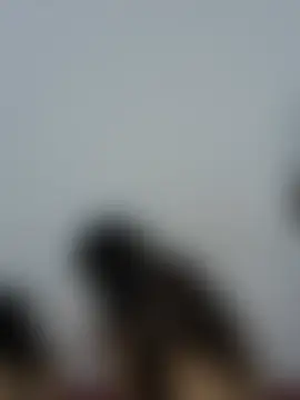 Hot_Parul – Kamerová šou