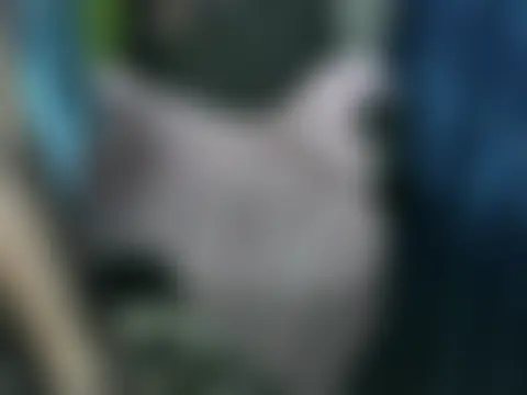 smoochiii লাইভ XXX চ্যাট