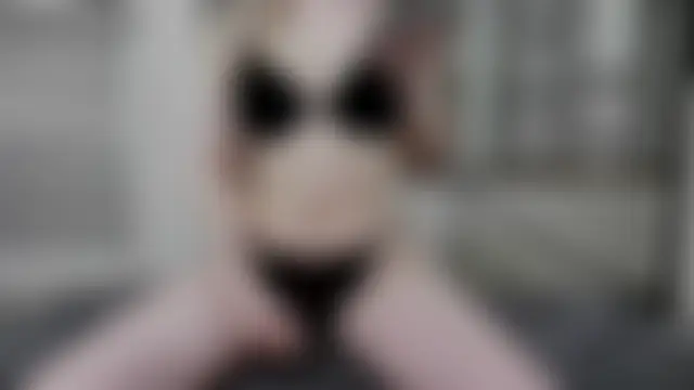 Chatroom XXX en direct de 34x1Isabel34